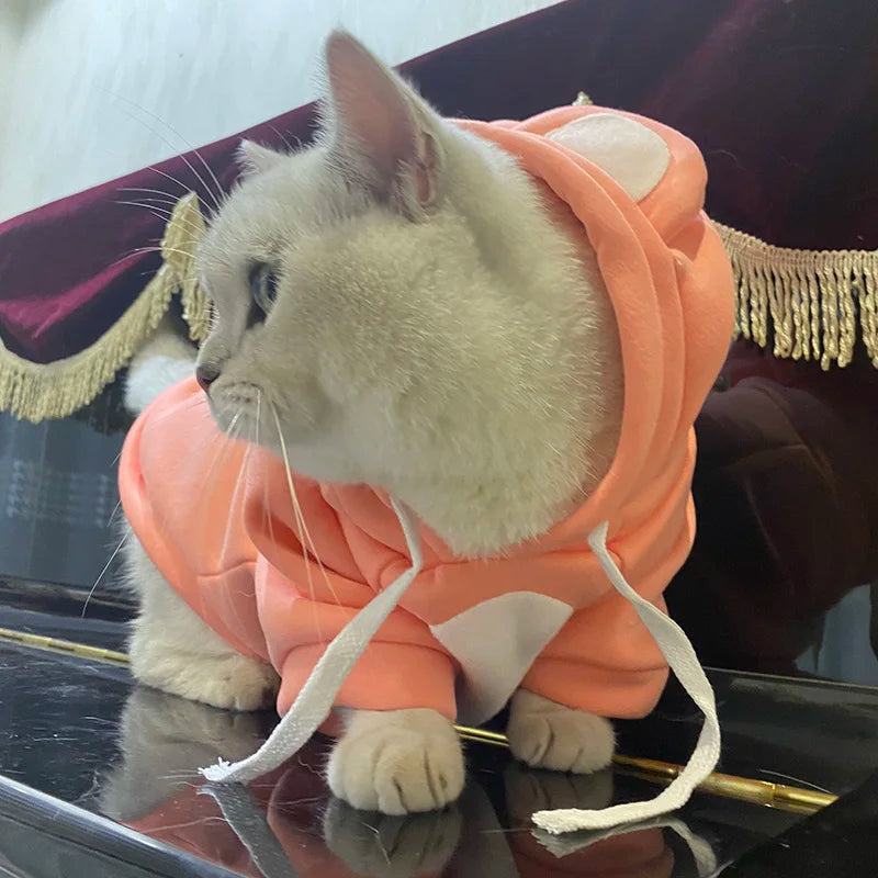 Winter Pet Hoodie – Warm Sweater for Cats, Sphynx & Persian Kittens