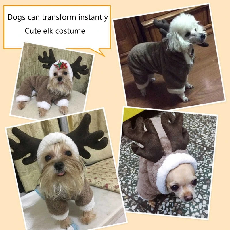 Winter Fleece Pet Hoodie – Warm Jumpsuit for Small Cats