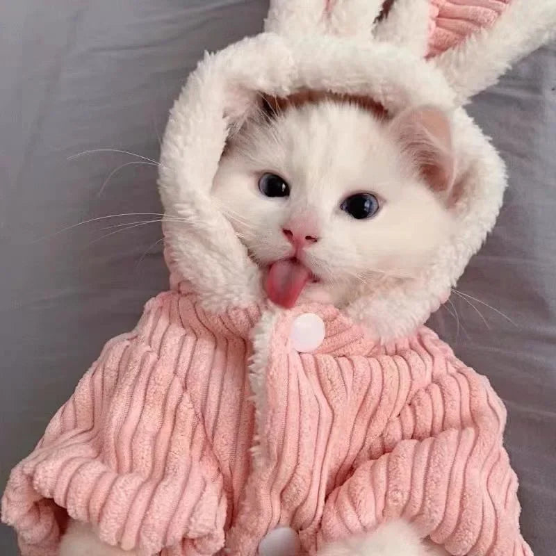 Warm Winter Pet Hoodie – Cute Bunny Coat for Kittens, Cats