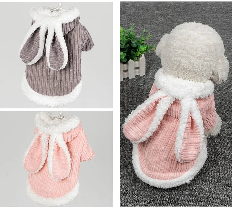 Warm Winter Pet Hoodie – Cute Bunny Coat for Kittens, Cats