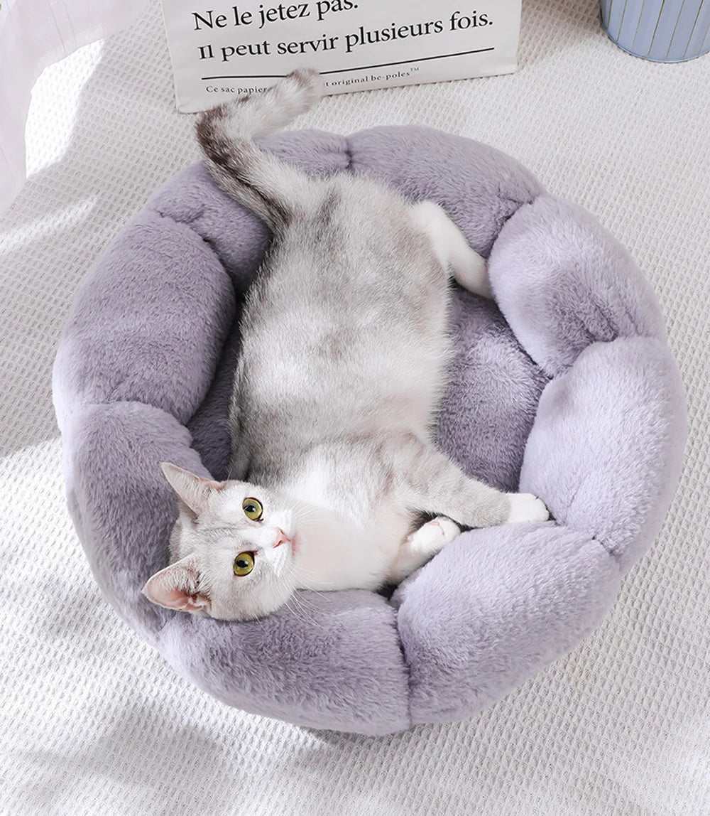 Flower Soft Pet Bed – Warm Winter Cushion for Cats Breathable & Thickened