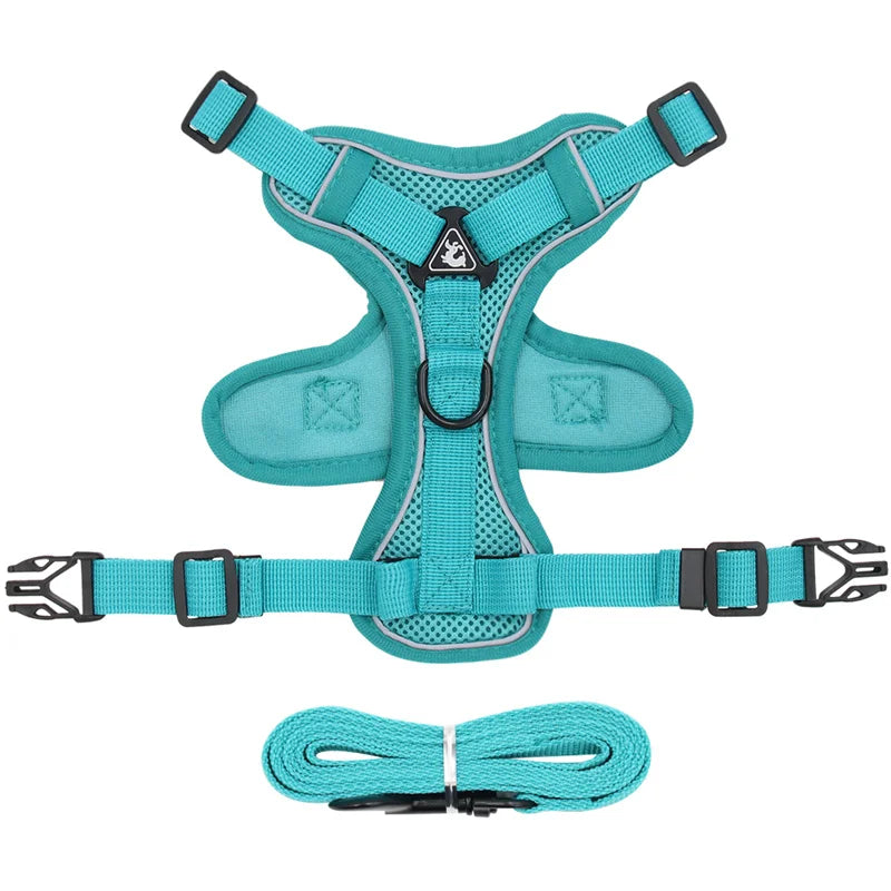 Reflective Mesh Cat Harness & Leash – Breathable Fashion Harness Set for Small Cats