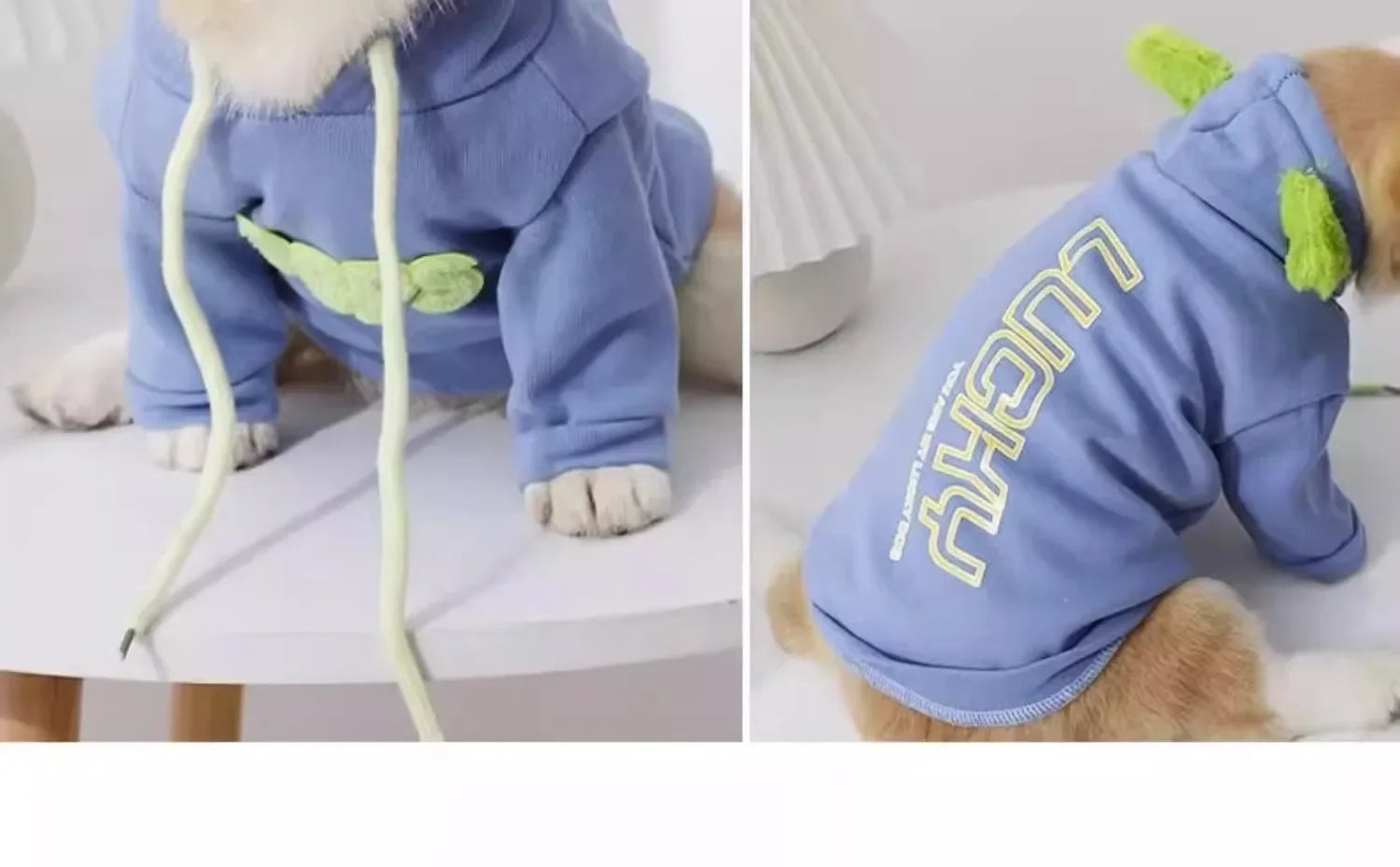Autumn/Winter Pet Hoodie – Warm & Cute Clothes for Small Cats