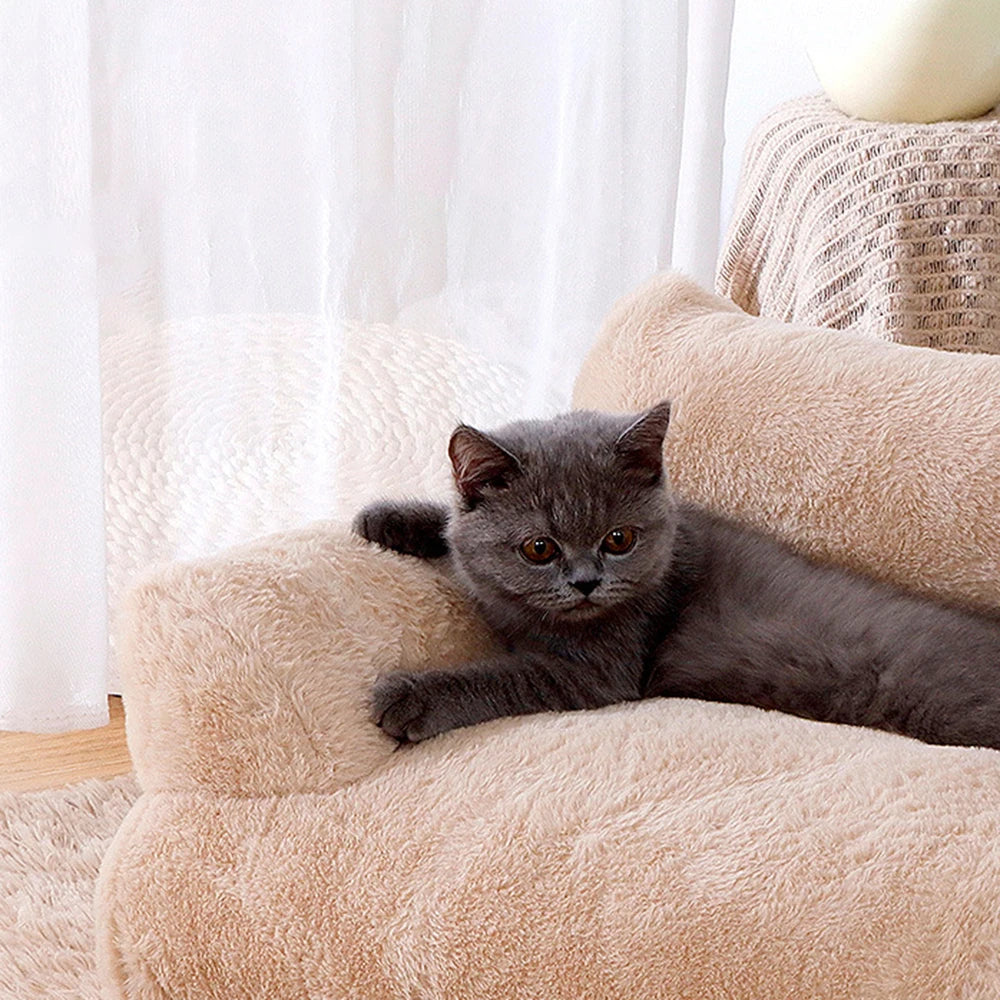 Detachable Washable Pet Sofa – All-Season Soft Couch for Cats