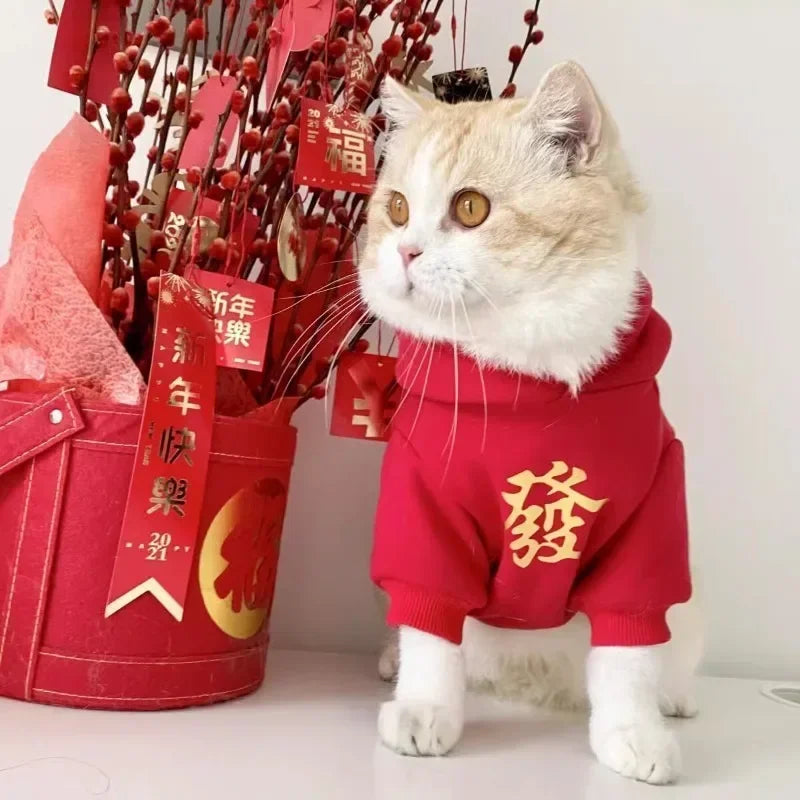 Chinese New Year Pet Hoodie – Winter Coat for Cats