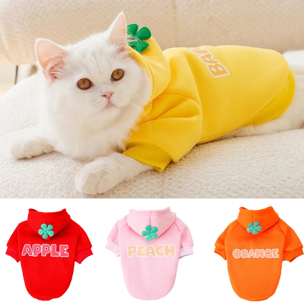 Classic Fruit Print Cat Hoodie – Warm Autumn/Winter Sweater for Sphynx Cats