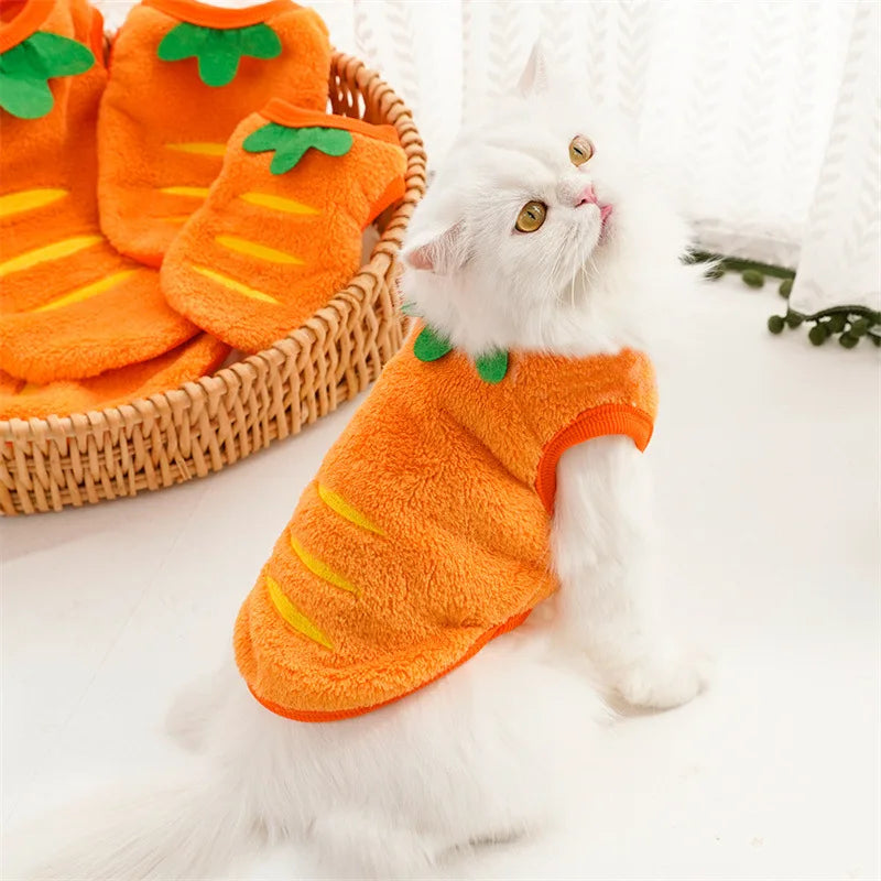Winter Pet Coat & Vest – Soft Fleece Outfit for Small Cats