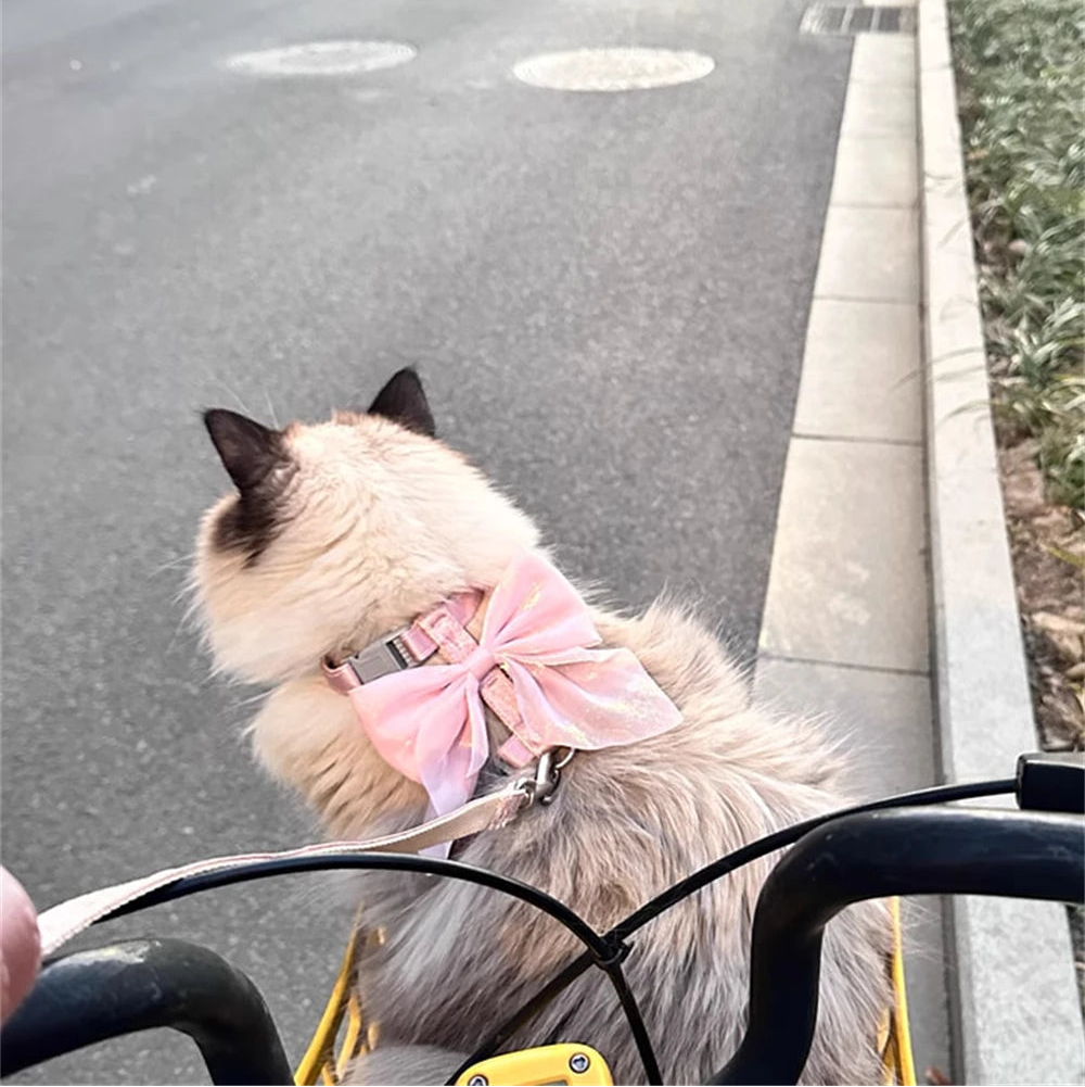 Bowknot Cat Harness – Cute Princess Dress-Style Harness with Leash for Kittens