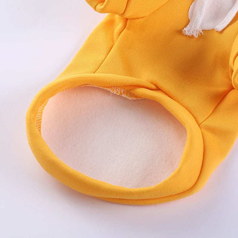 Winter Pet Hoodie – Warm Sweater for Cats, Sphynx & Persian Kittens