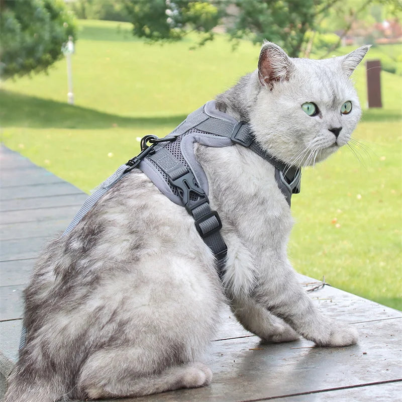 Reflective Mesh Cat Harness & Leash – Breathable Fashion Harness Set for Small Cats