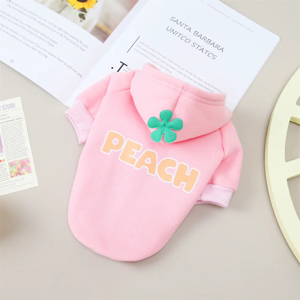 Classic Fruit Print Cat Hoodie – Warm Autumn/Winter Sweater for Sphynx Cats