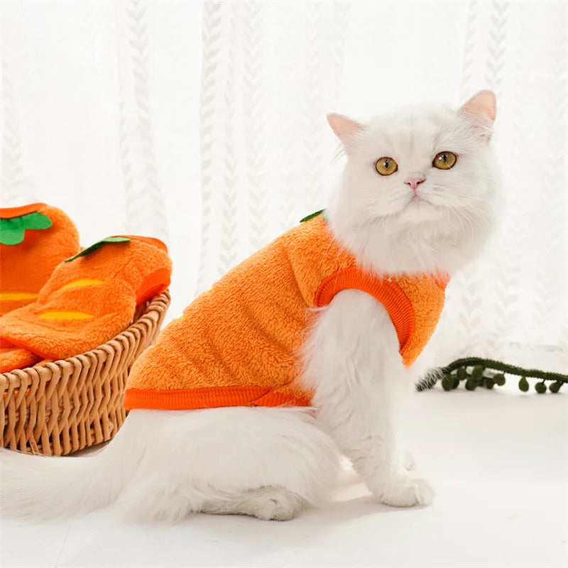 Winter Pet Coat & Vest – Soft Fleece Outfit for Small Cats