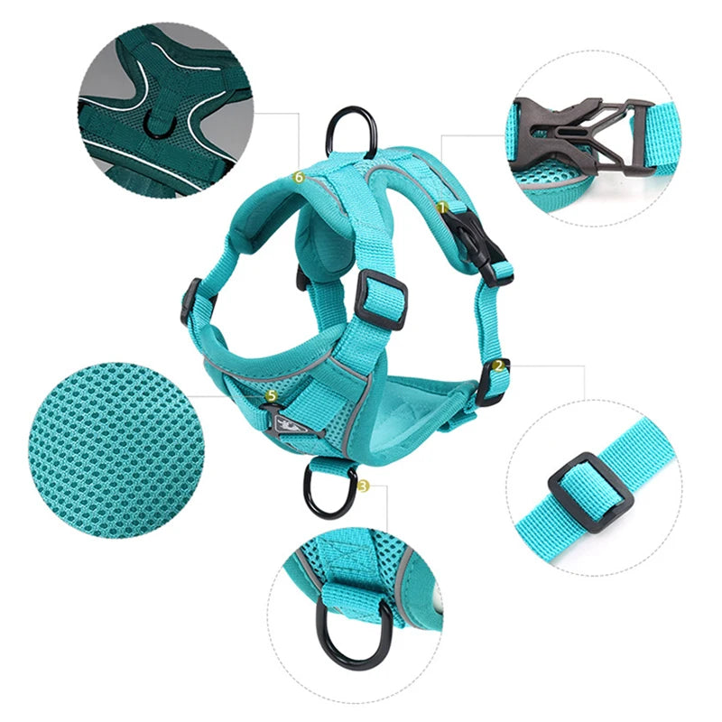 Reflective Mesh Cat Harness & Leash – Breathable Fashion Harness Set for Small Cats
