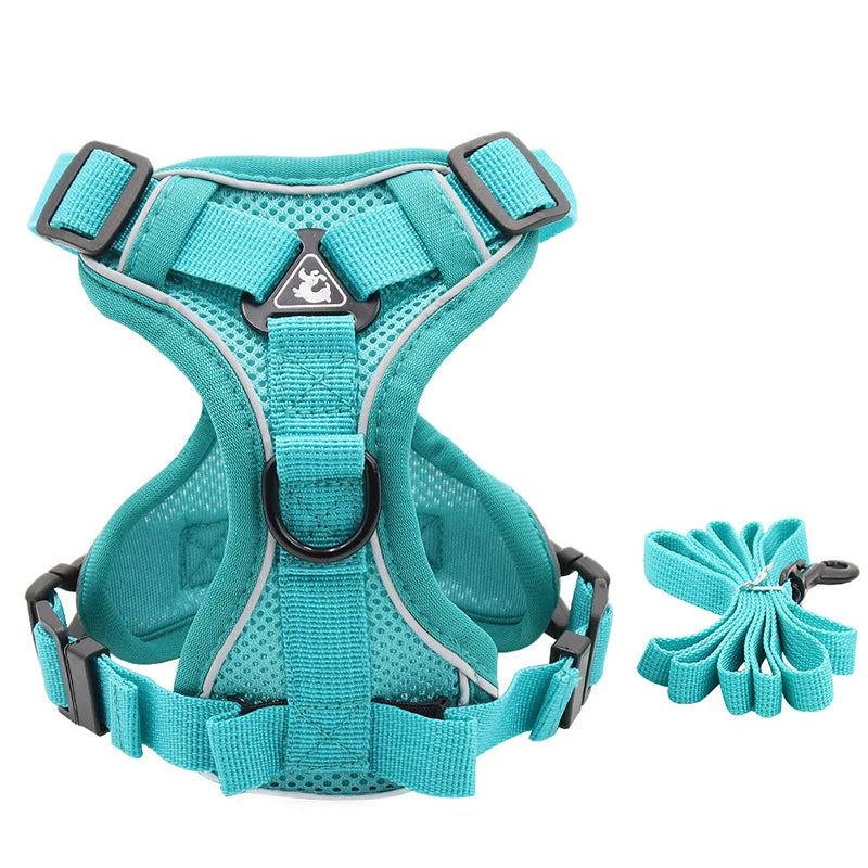 Reflective Mesh Cat Harness & Leash – Breathable Fashion Harness Set for Small Cats