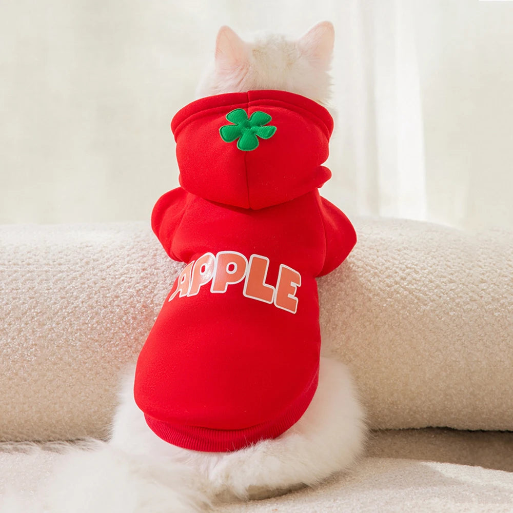 Classic Fruit Print Cat Hoodie – Warm Autumn/Winter Sweater for Sphynx Cats