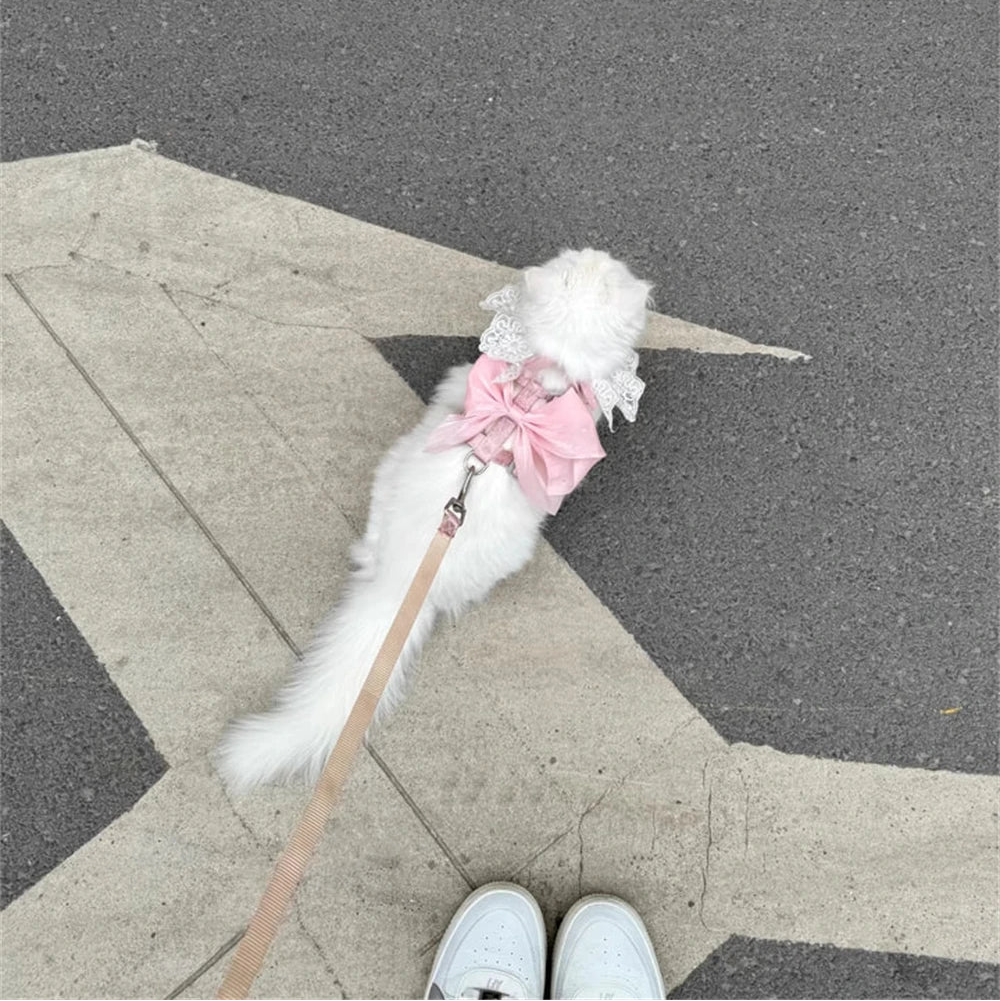 Bowknot Cat Harness – Cute Princess Dress-Style Harness with Leash for Kittens
