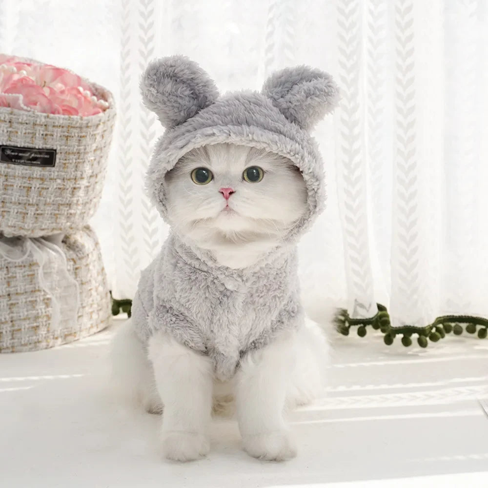 Autumn/Winter Pet Hoodie – Warm & Thick Cute Pattern Hoodie for Cats