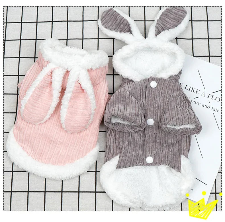 Warm Winter Pet Hoodie – Cute Bunny Coat for Kittens, Cats