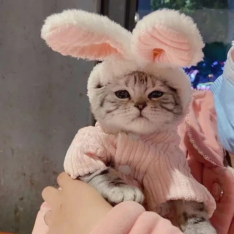 Warm Winter Pet Hoodie – Cute Bunny Coat for Kittens, Cats