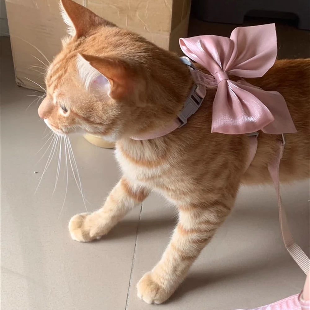 Bowknot Cat Harness – Cute Princess Dress-Style Harness with Leash for Kittens