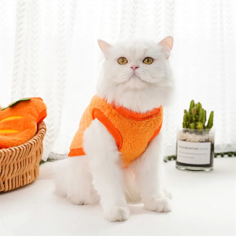 Winter Pet Coat & Vest – Soft Fleece Outfit for Small Cats