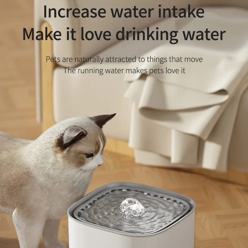 3L Cat Water Fountain – Automatic USB Quiet Filtered Water Dispenser