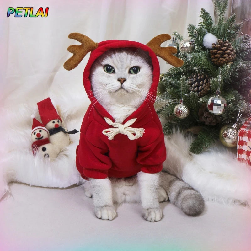 Halloween Pet Hoodie – Dinosaur Cosplay Fleece Sweater for Small Cats