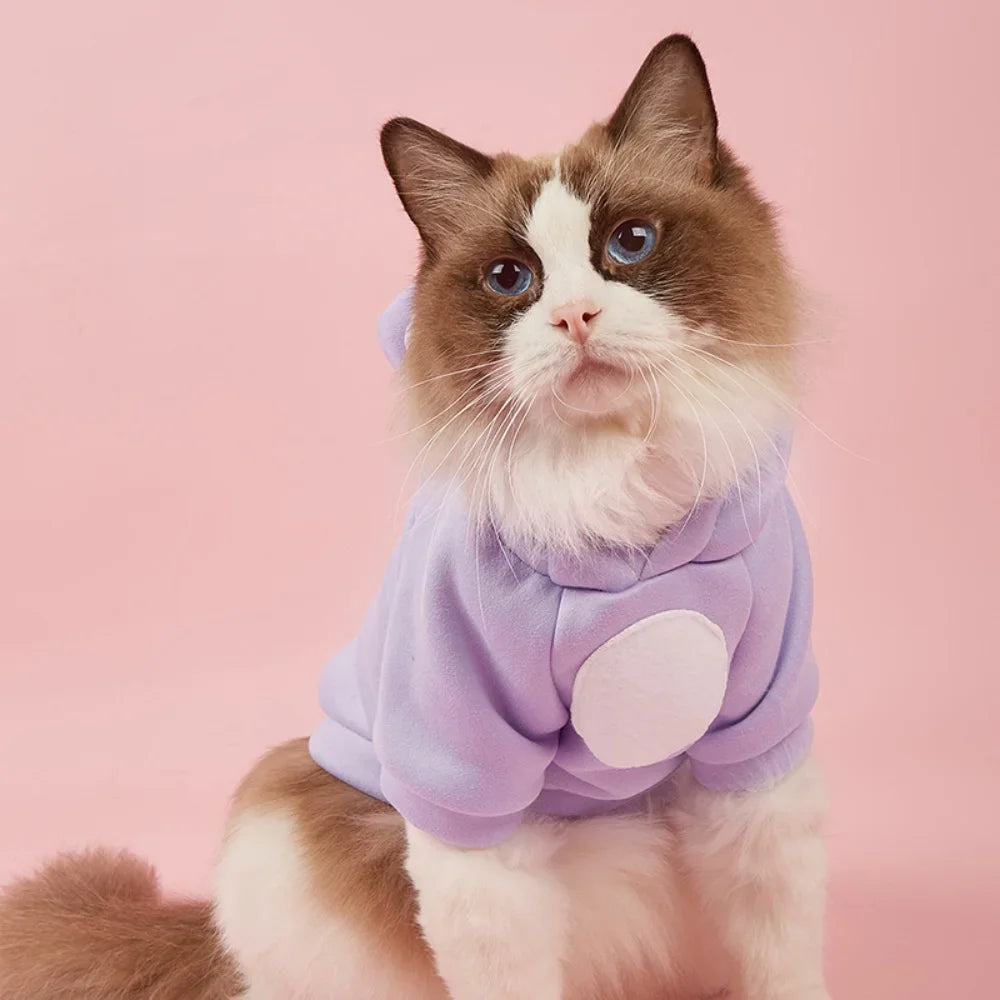 Cute Winter Pet Hoodie – Warm Outfit for Hairless Cats & Sphynx Kittens