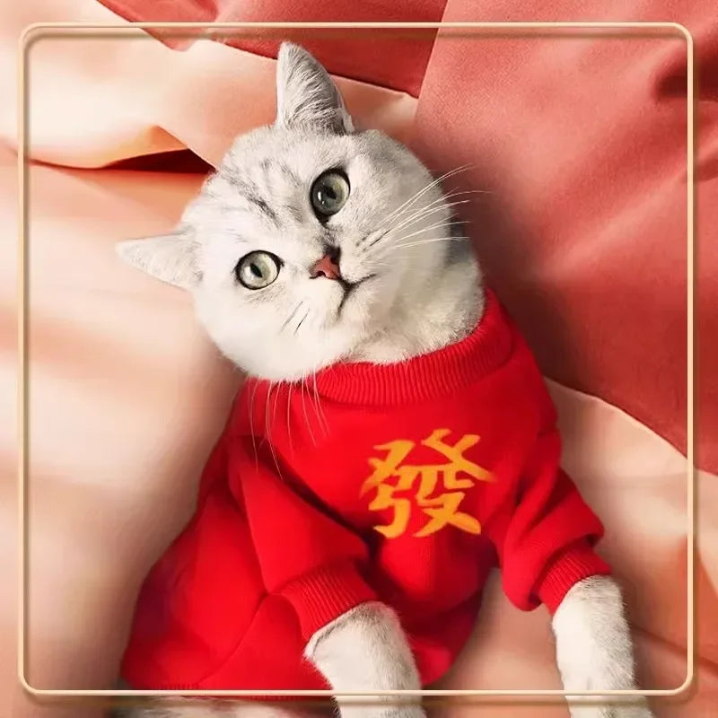 Chinese New Year Pet Hoodie – Winter Coat for Cats