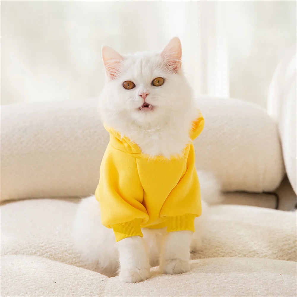 Classic Fruit Print Cat Hoodie – Warm Autumn/Winter Sweater for Sphynx Cats