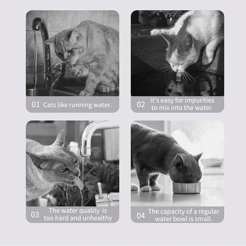 3L USB Cat Water Fountain – Automatic Filtered Dispenser with Anti-Dry Protection