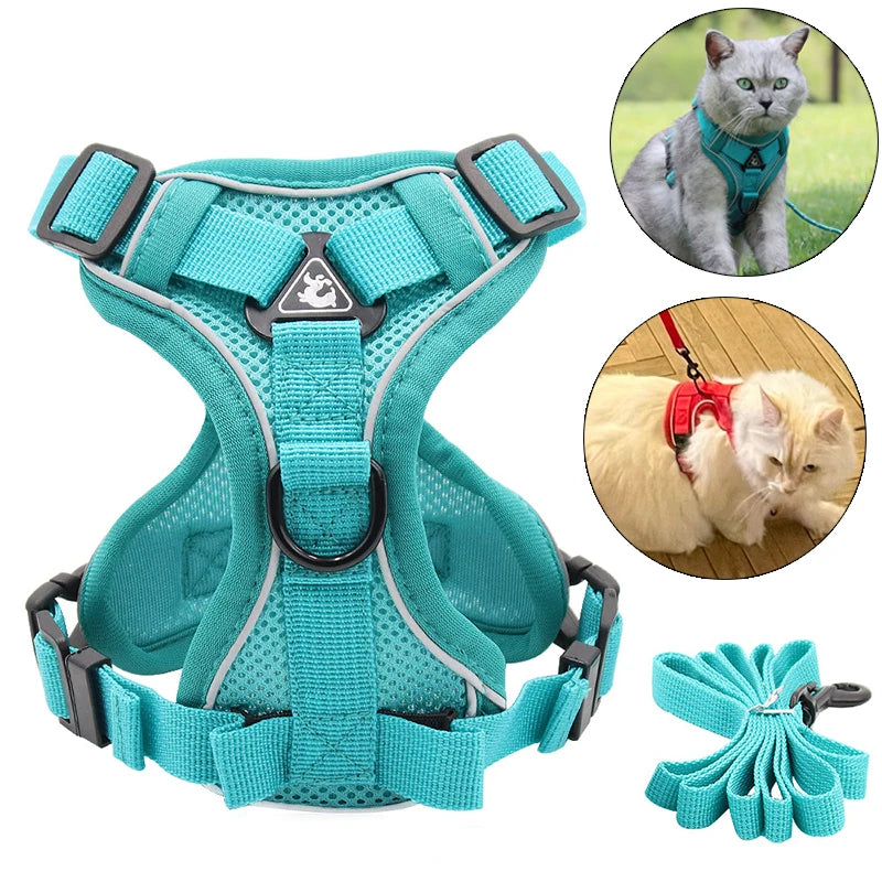 Reflective Mesh Cat Harness & Leash – Breathable Fashion Harness Set for Small Cats