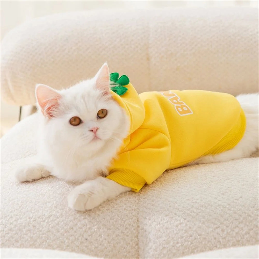 Classic Fruit Print Cat Hoodie – Warm Autumn/Winter Sweater for Sphynx Cats