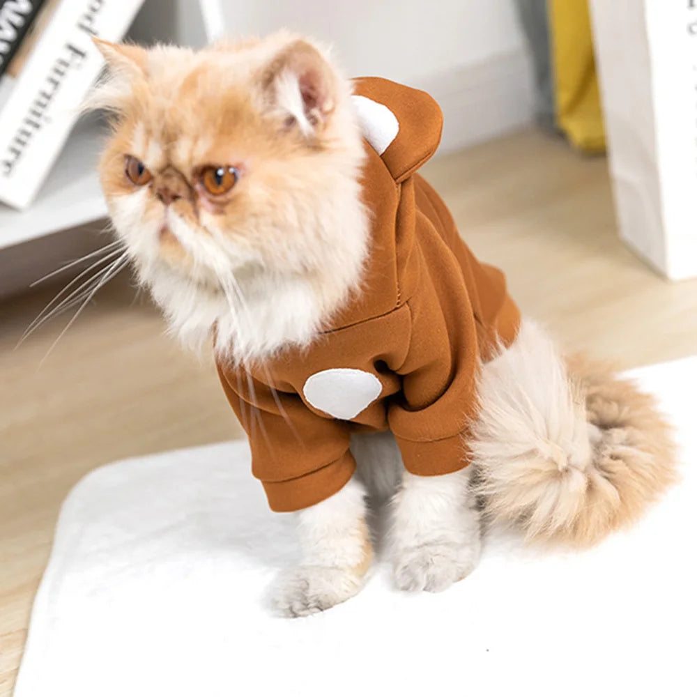 Cute Winter Pet Hoodie – Warm Outfit for Hairless Cats & Sphynx Kittens