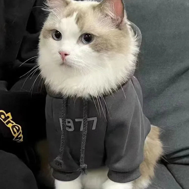 Simple Number Print Pet Hoodie – Solid Color, Thick & Warm for Small Cats