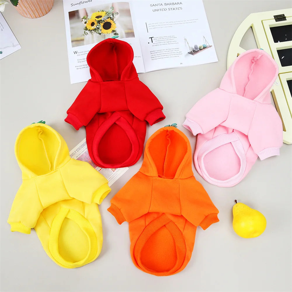 Classic Fruit Print Cat Hoodie – Warm Autumn/Winter Sweater for Sphynx Cats