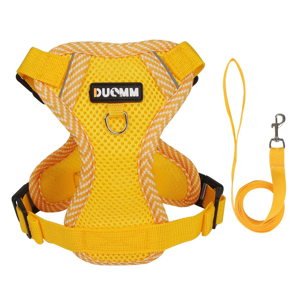 Reflective Mesh Cat Harness & Leash – Breathable Fashion Harness Set for Small Cats