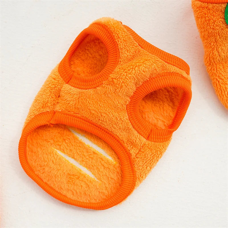 Winter Pet Coat & Vest – Soft Fleece Outfit for Small Cats