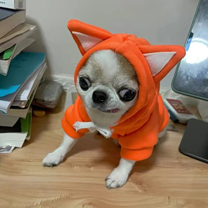 Winter Pet Hoodie – Warm Sweater for Cats, Sphynx & Persian Kittens