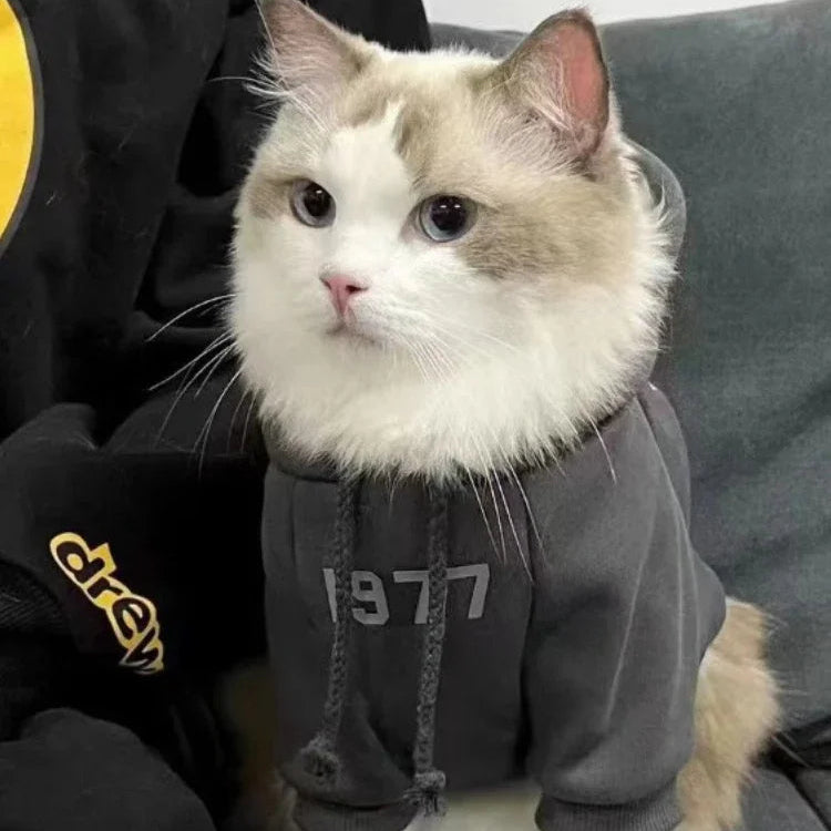 Simple Number Print Pet Hoodie – Solid Color, Thick & Warm for Small Cats