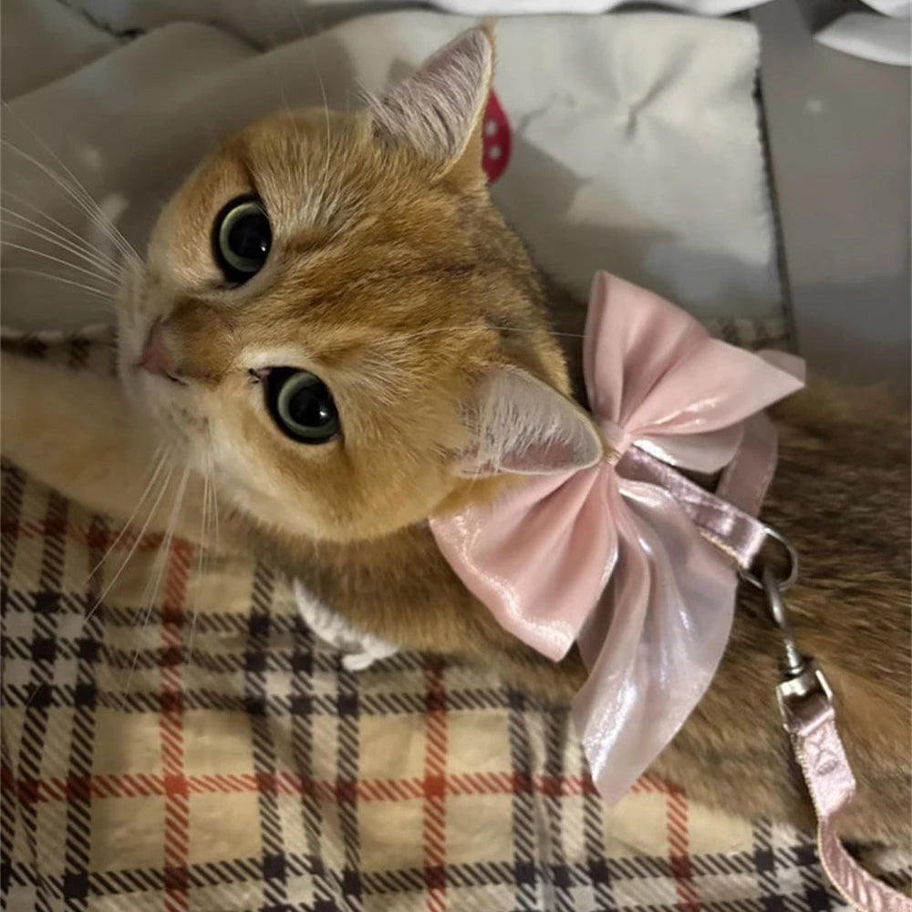 Bowknot Cat Harness – Cute Princess Dress-Style Harness with Leash for Kittens