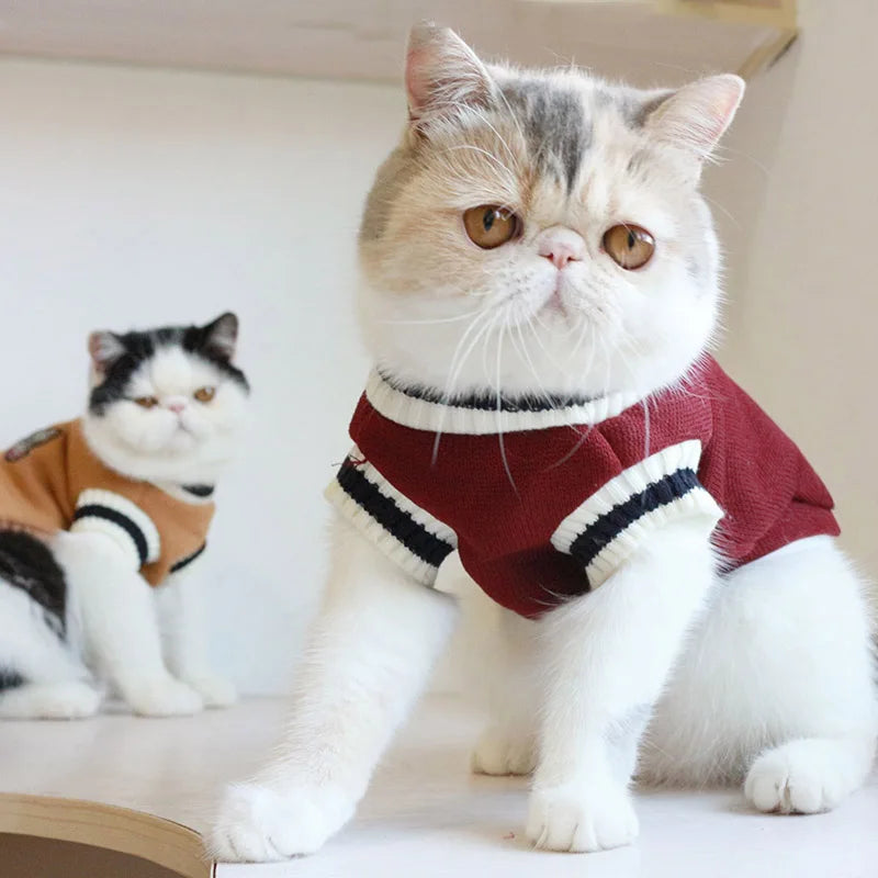 Winter Pet Sweater – Pullover Vest for Small  Cats
