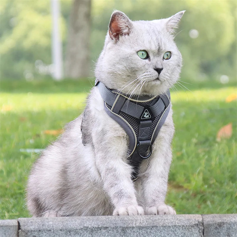 Reflective Mesh Cat Harness & Leash – Breathable Fashion Harness Set for Small Cats
