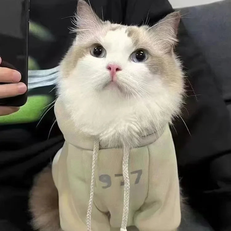 Simple Number Print Pet Hoodie – Solid Color, Thick & Warm for Small Cats