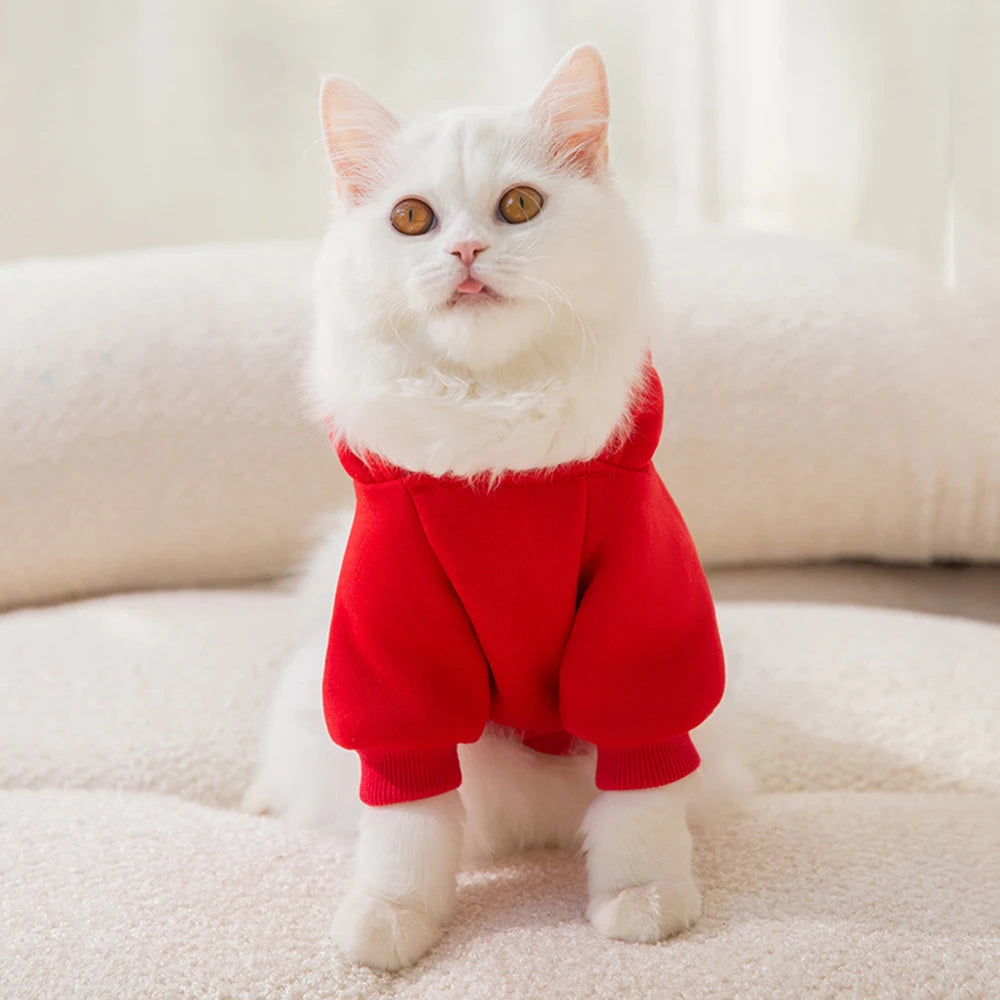 Classic Fruit Print Cat Hoodie – Warm Autumn/Winter Sweater for Sphynx Cats