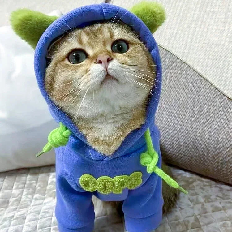 Autumn/Winter Pet Hoodie – Warm & Cute Clothes for Small Cats
