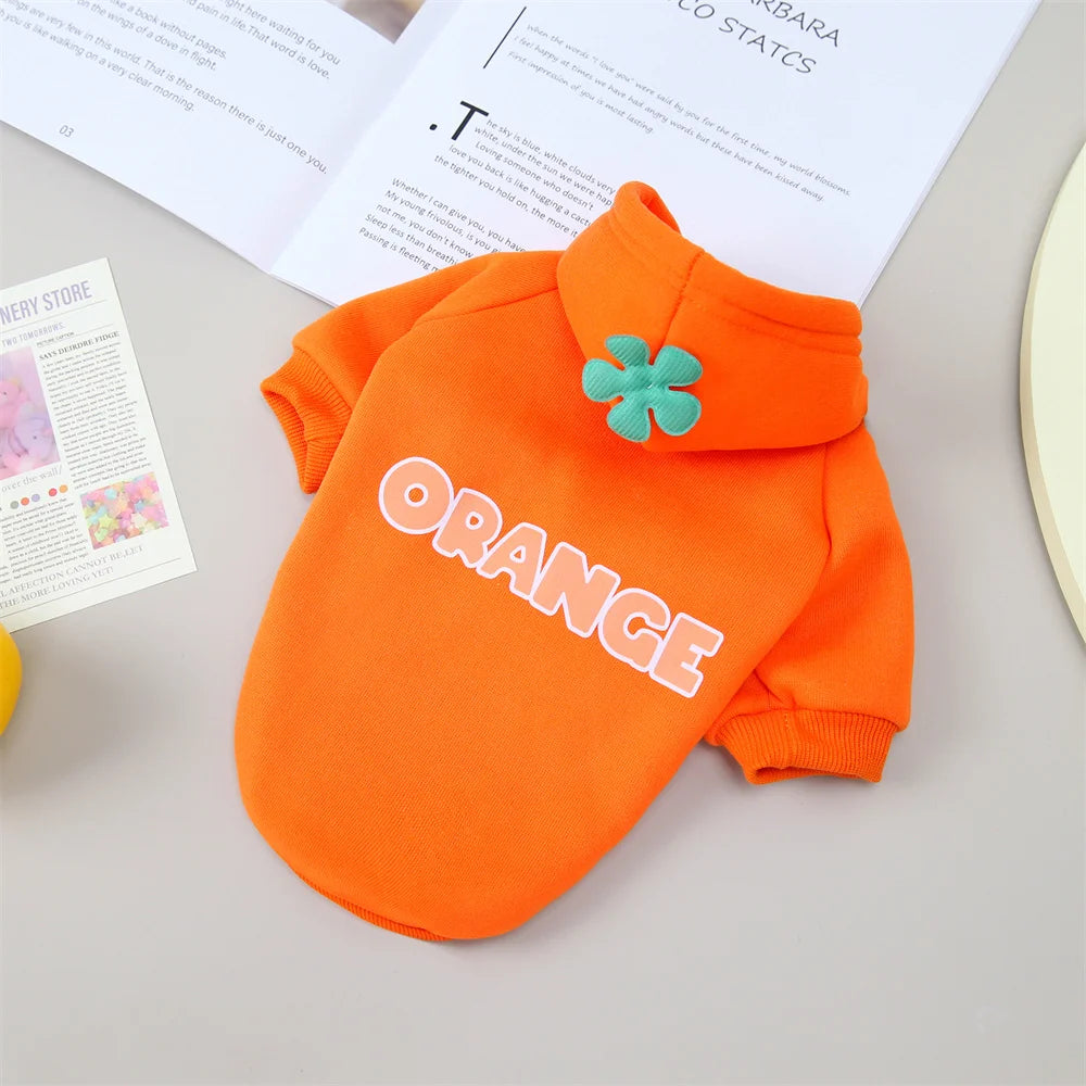 Classic Fruit Print Cat Hoodie – Warm Autumn/Winter Sweater for Sphynx Cats