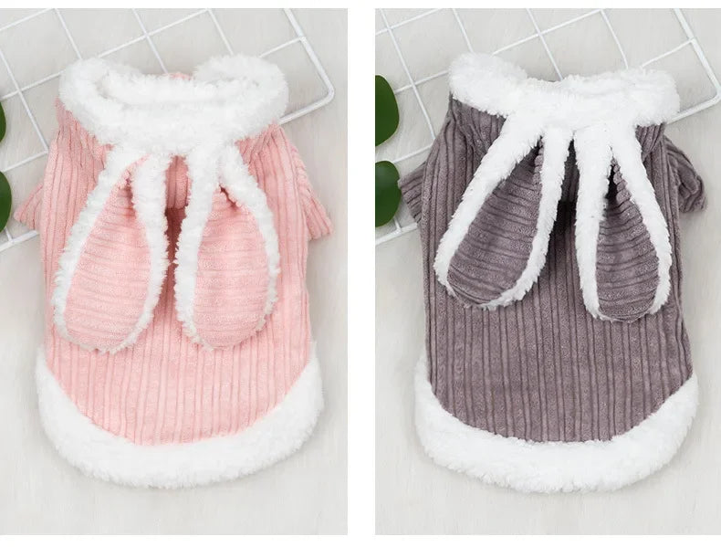 Warm Winter Pet Hoodie – Cute Bunny Coat for Kittens, Cats