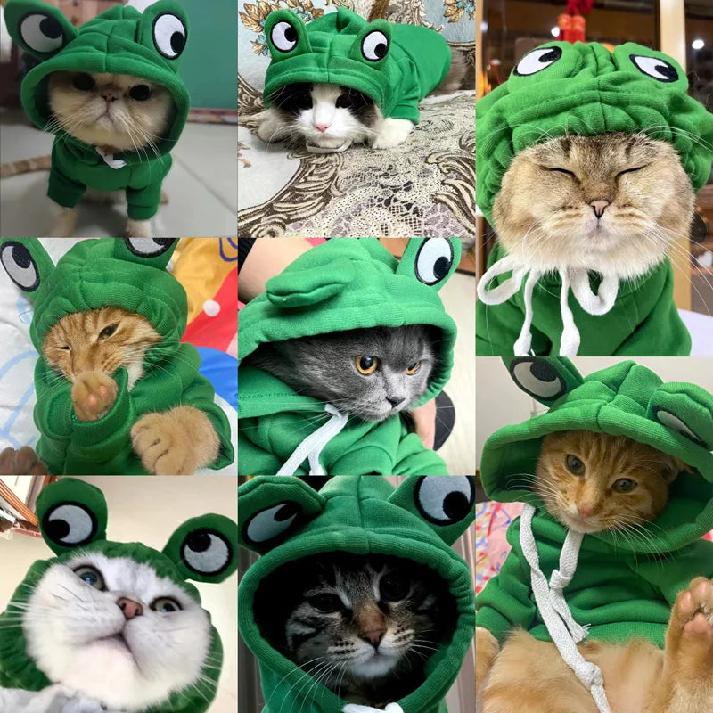 Frog-Shaped Plush Pet Hoodie – Cute Cosplay Coat for Cats