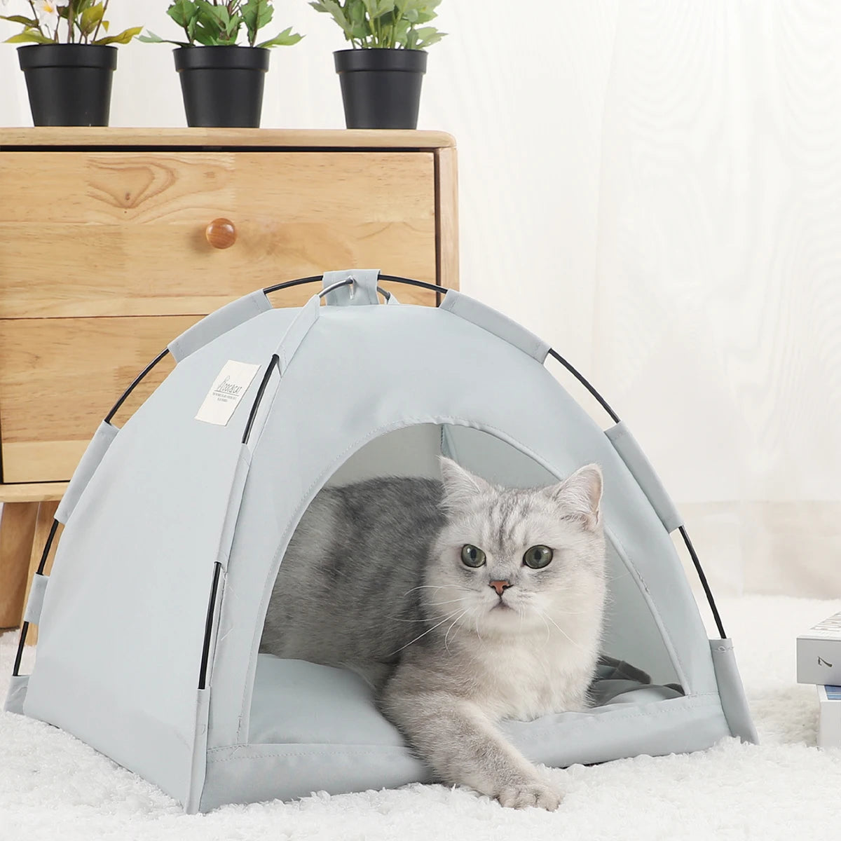 Pet Tent Bed – Warm Cat & Kitten House with Cushion, Sofa-Style Basket
